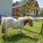 Tourist Farm 