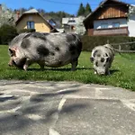 Tourist Farm 