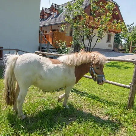 Tourist Farm Pri Biscu Bauernhof