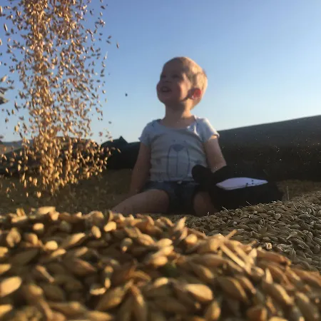 Tourist Farm Pri Biscu Bauernhof Bled