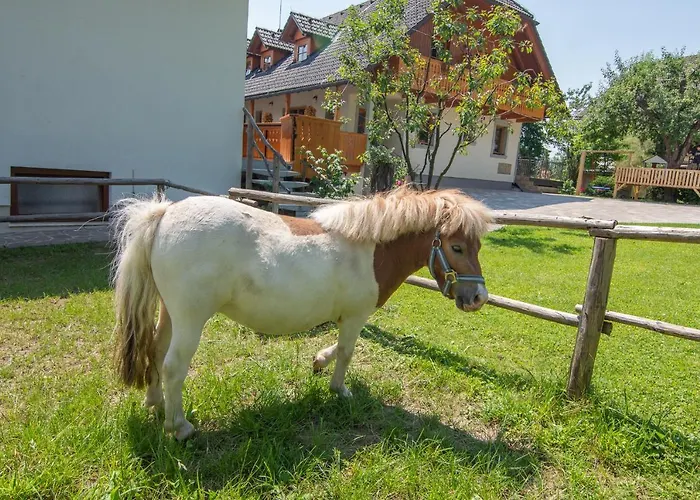 Tourist Farm Pri Biscu Bauernhof