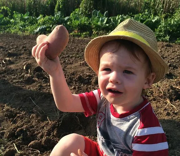 Tourist Farm Pri Biscu